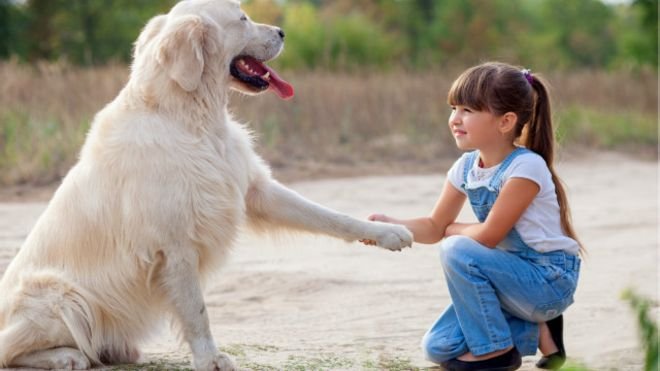 Convívio com cães 'reduz risco de asma em crianças'