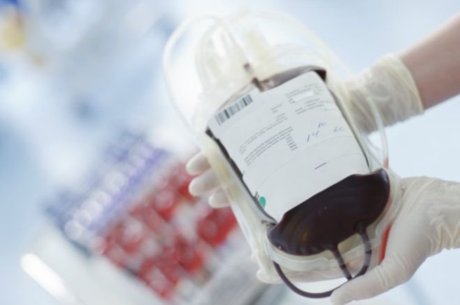 Uso ‘não bíblico’ de sangue em transfusões opõe Testemunhas de Jeová e médicos